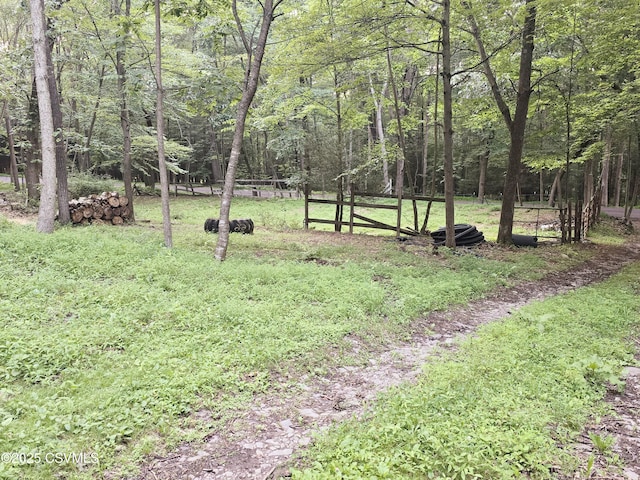 517 Ridge Rd, Nescopeck, PA 18635 - photo 12