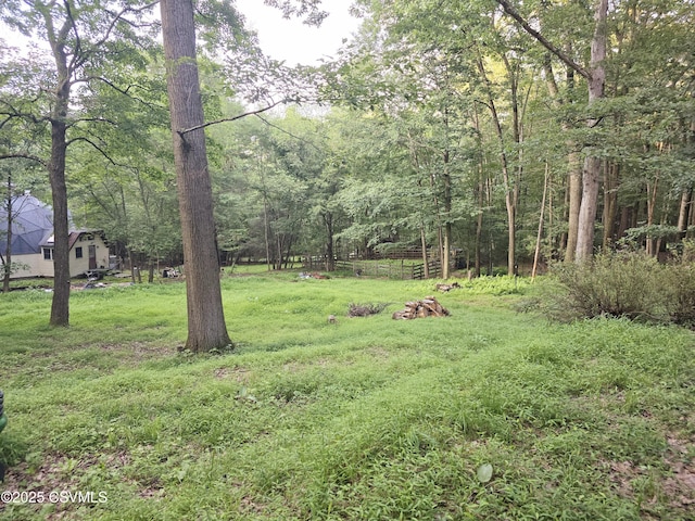 517 Ridge Rd, Nescopeck, PA 18635 - photo 17