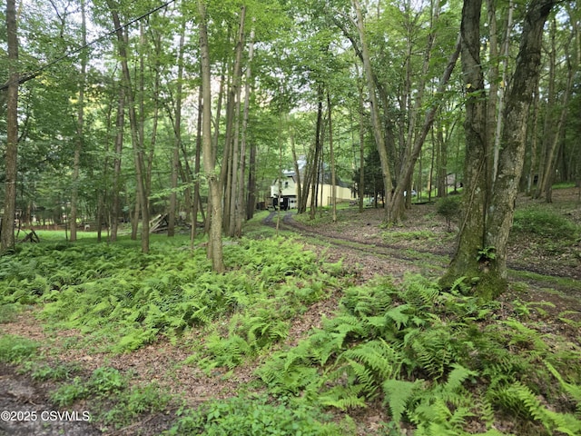 517 Ridge Rd, Nescopeck, PA 18635 - photo 19