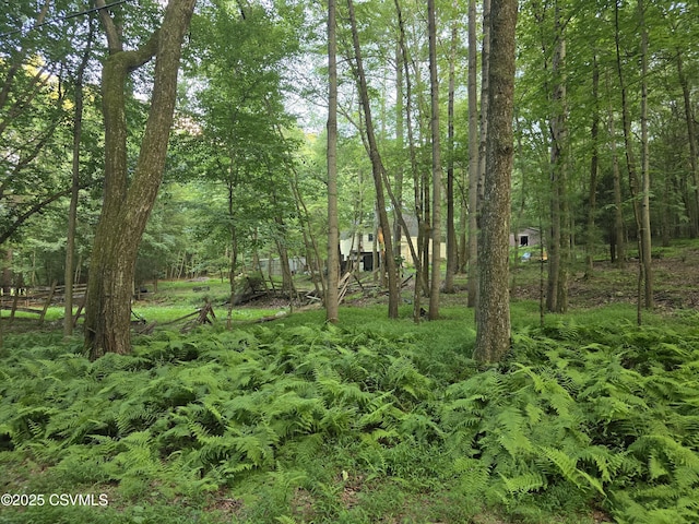 517 Ridge Rd, Nescopeck, PA 18635 - photo 20