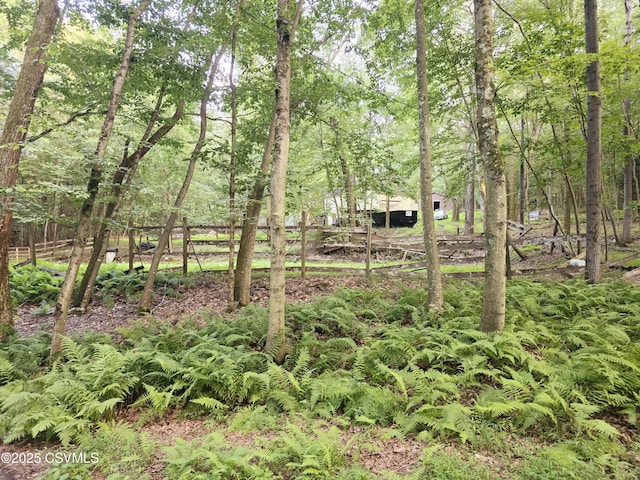 517 Ridge Rd, Nescopeck, PA 18635 - photo 21