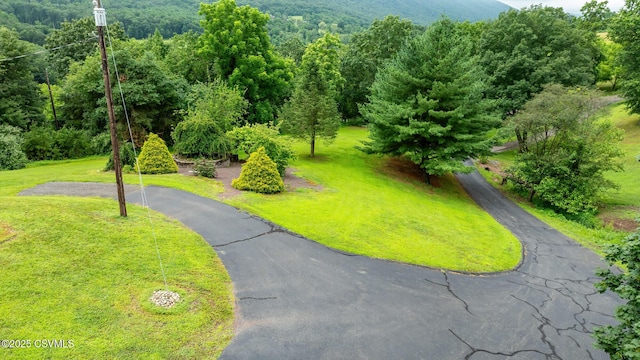 153 Hofnagle School Rd, Nescopeck, PA 18635 - photo 6