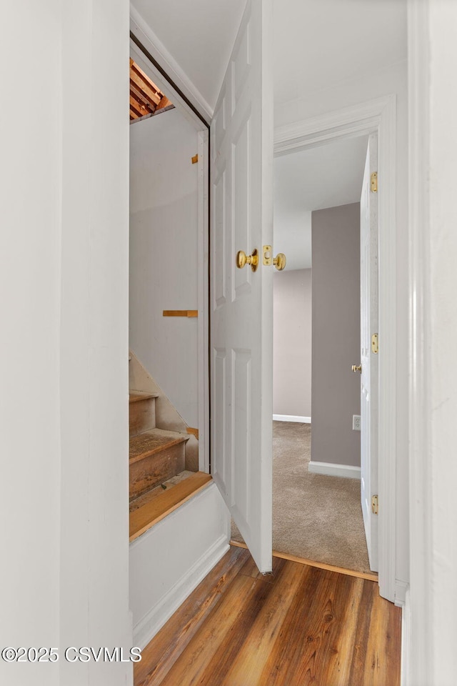 23 N 15th St, Lewisburg, PA 17837 - photo 26