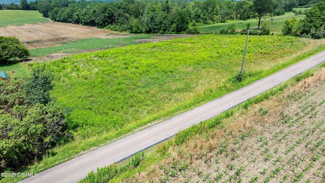 225 Cherry Hill Rd, Shickshinny, PA 18655 - photo 3