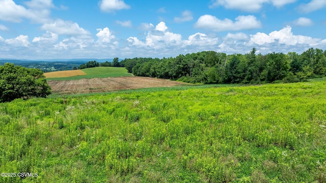 225 Cherry Hill Rd, Shickshinny, PA 18655 - photo 2