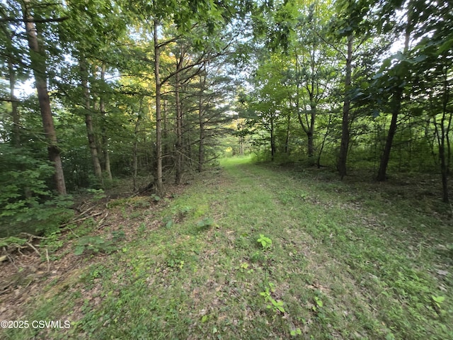 Fornwalt Ln, New Columbia, PA 17856 - photo 4