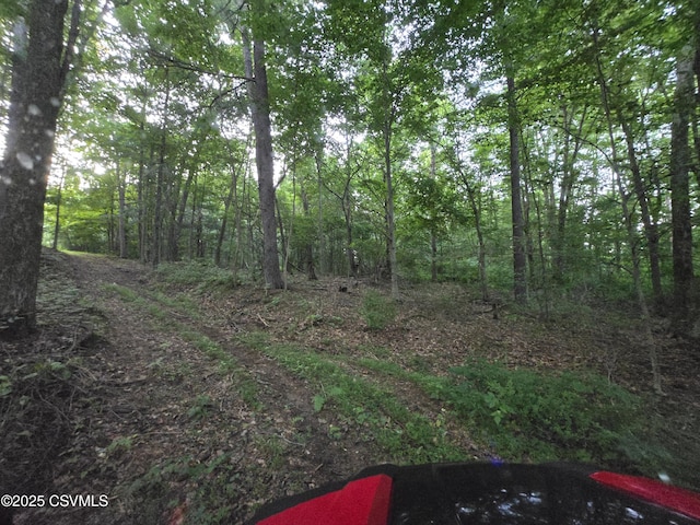 Fornwalt Ln, New Columbia, PA 17856 - photo 9