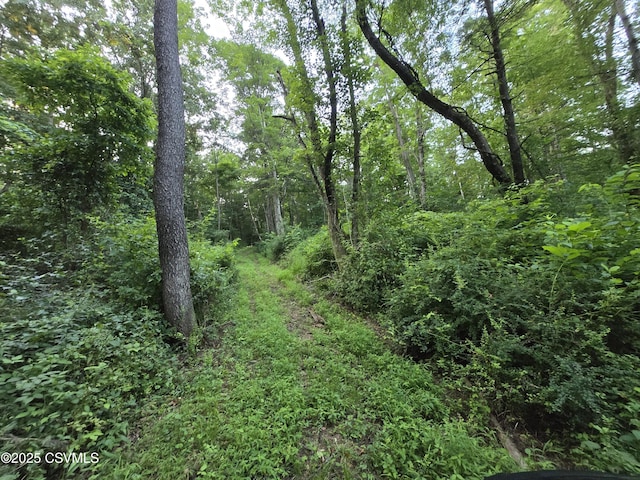 Fornwalt Ln, New Columbia, PA 17856 - photo 6