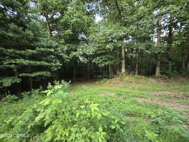 Fornwalt Ln, New Columbia, PA 17856 - photo 7