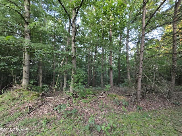 Fornwalt Ln, New Columbia, PA 17856 - photo 8