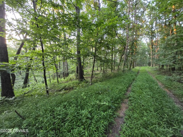 Fornwalt Ln, New Columbia, PA 17856 - photo 5