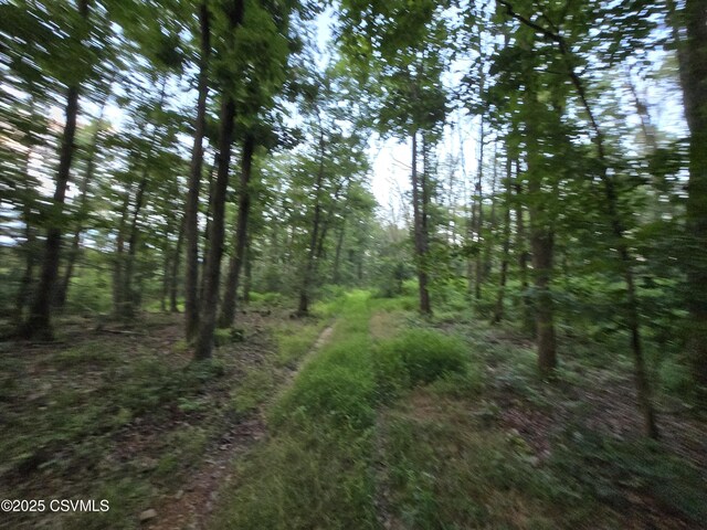 Fornwalt Ln, New Columbia, PA 17856 - photo 10