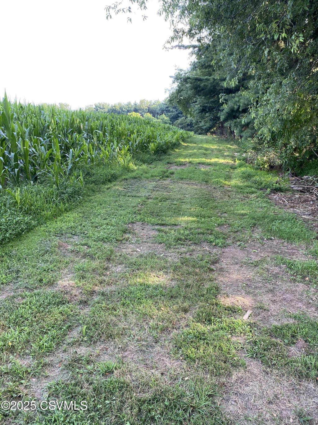 00 Line Rd, Selinsgrove, PA 17870 - photo 1