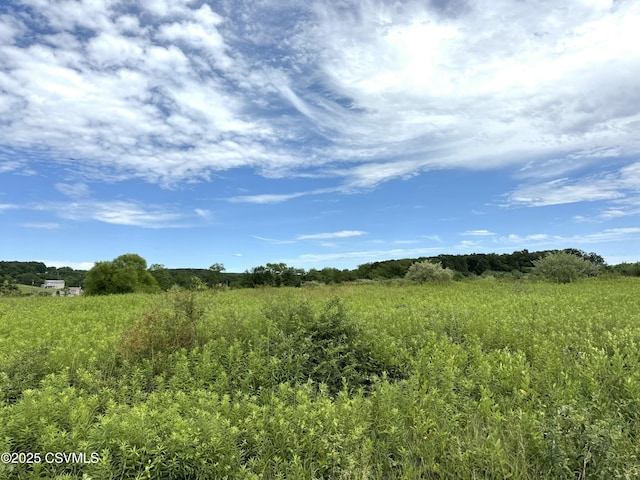 Mccoy Rd, Muncy, PA 17756 - photo 1