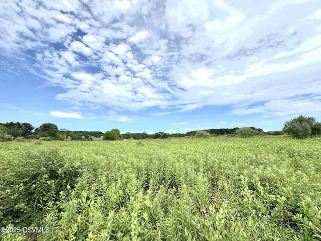 Mccoy Rd, Muncy, PA 17756 - photo 5