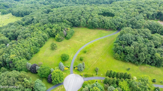 1108 Charlene Dr, Danville, PA 17821 - photo 29