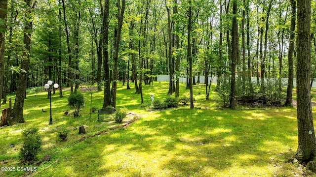 1108 Charlene Dr, Danville, PA 17821 - photo 20
