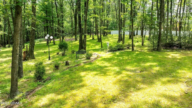 1108 Charlene Dr, Danville, PA 17821 - photo 22
