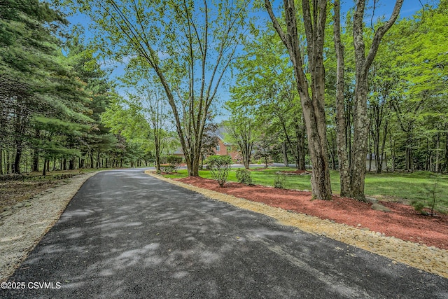 383 S Main Rd, Mountain Top, PA 18707 - photo 8