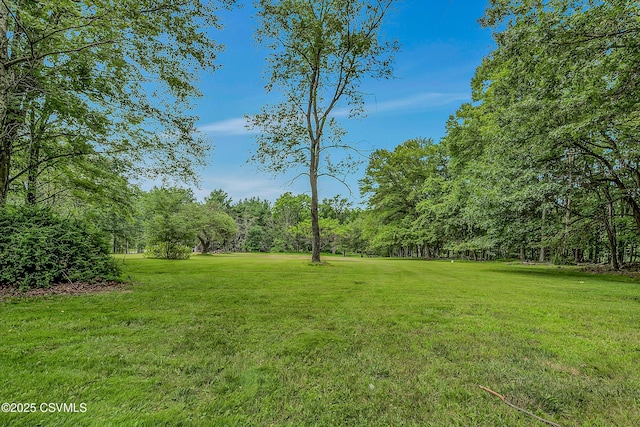 383 S Main Rd, Mountain Top, PA 18707 - photo 119