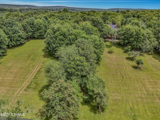 383 S Main Rd, Mountain Top, PA 18707 - photo 5