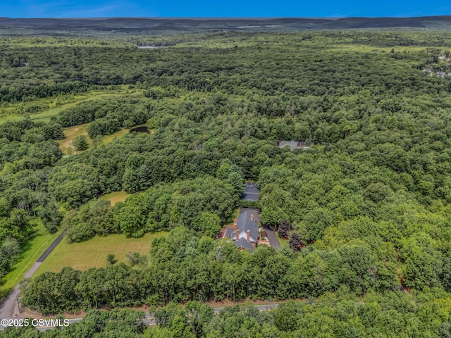 383 S Main Rd, Mountain Top, PA 18707 - photo 122