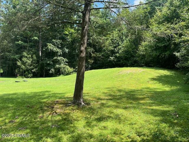 70 Kathryn Rd, Mcclure, PA 17841 - photo 5