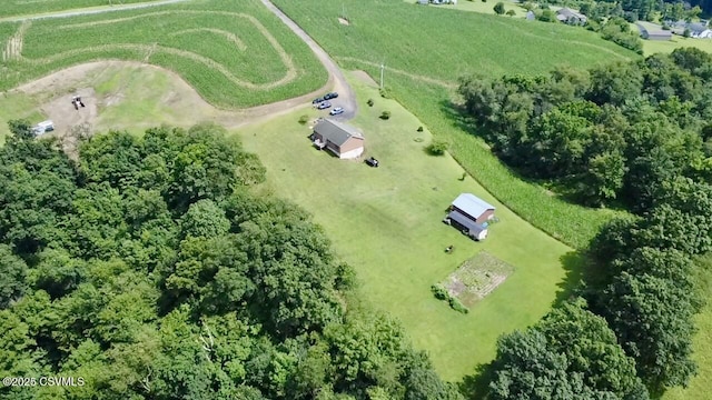 131 Jeremiah Ln, Paxinos, PA 17860 - photo 22