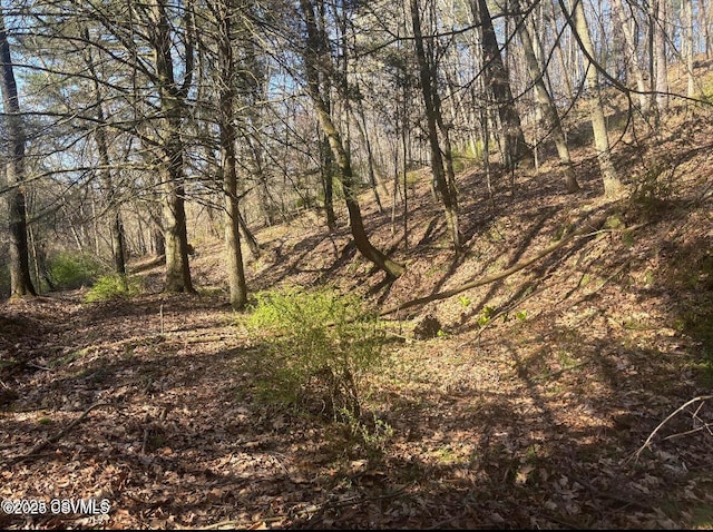 Mellick Hollow Rd, Bloomsburg, PA 17815 - photo 1