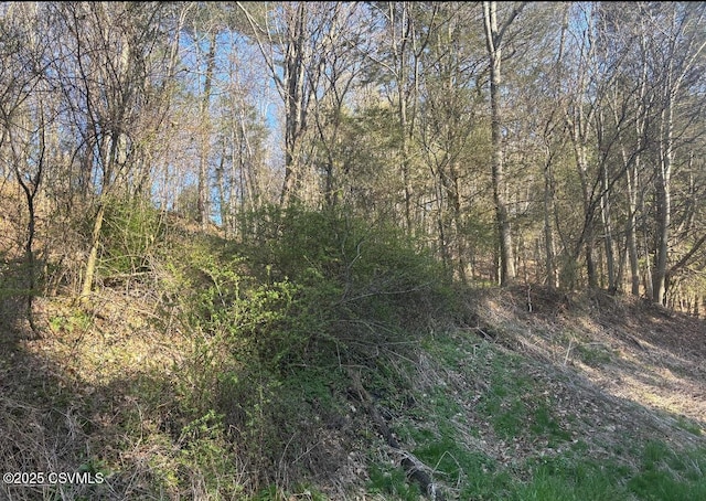Mellick Hollow Rd, Bloomsburg, PA 17815 - photo 2