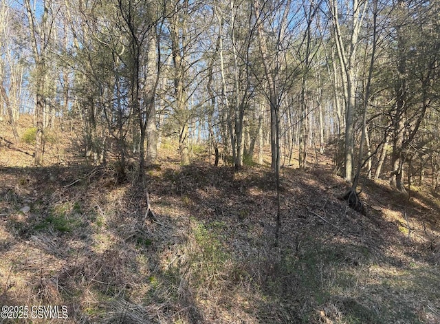 Mellick Hollow Rd, Bloomsburg, PA 17815 - photo 3