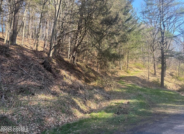 Mellick Hollow Rd, Bloomsburg, PA 17815 - photo 4