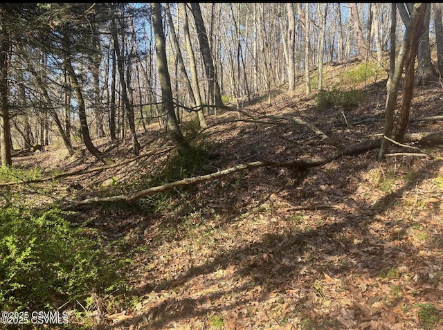 Mellick Hollow Rd, Bloomsburg, PA 17815 - photo 5
