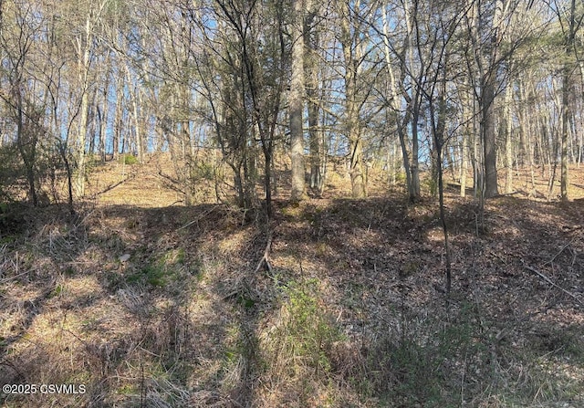 Mellick Hollow Rd, Bloomsburg, PA 17815 - photo 6