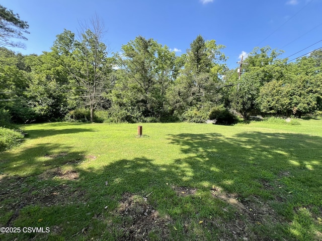 1722 Reading Tpke, Paxinos, PA 17860 - photo 34
