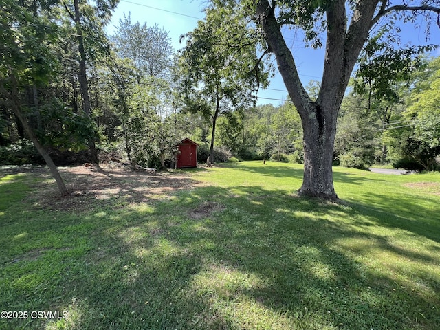 1722 Reading Tpke, Paxinos, PA 17860 - photo 35