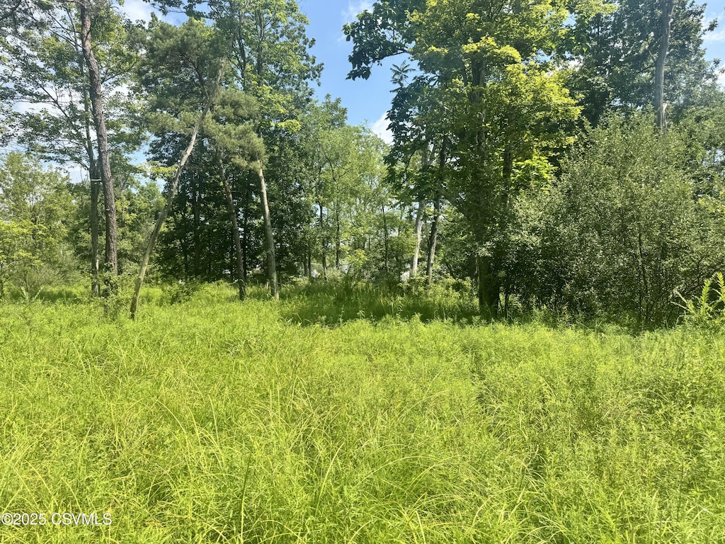 2nd Ave, Elysburg, PA 17824 - photo 2