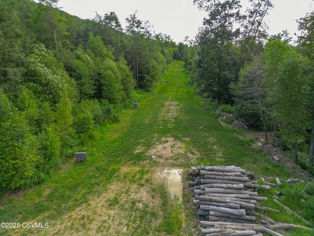 00 Barner Ln, Loganton, PA 17747 - photo 4