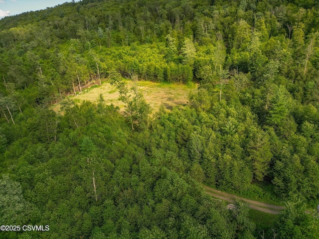 00 Barner Ln, Loganton, PA 17747 - photo 6
