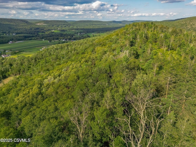 00 Barner Ln, Loganton, PA 17747 - photo 11