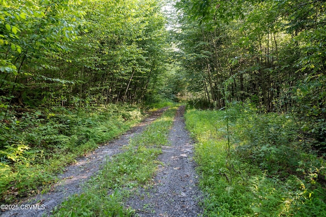 00 Barner Ln, Loganton, PA 17747 - photo 18