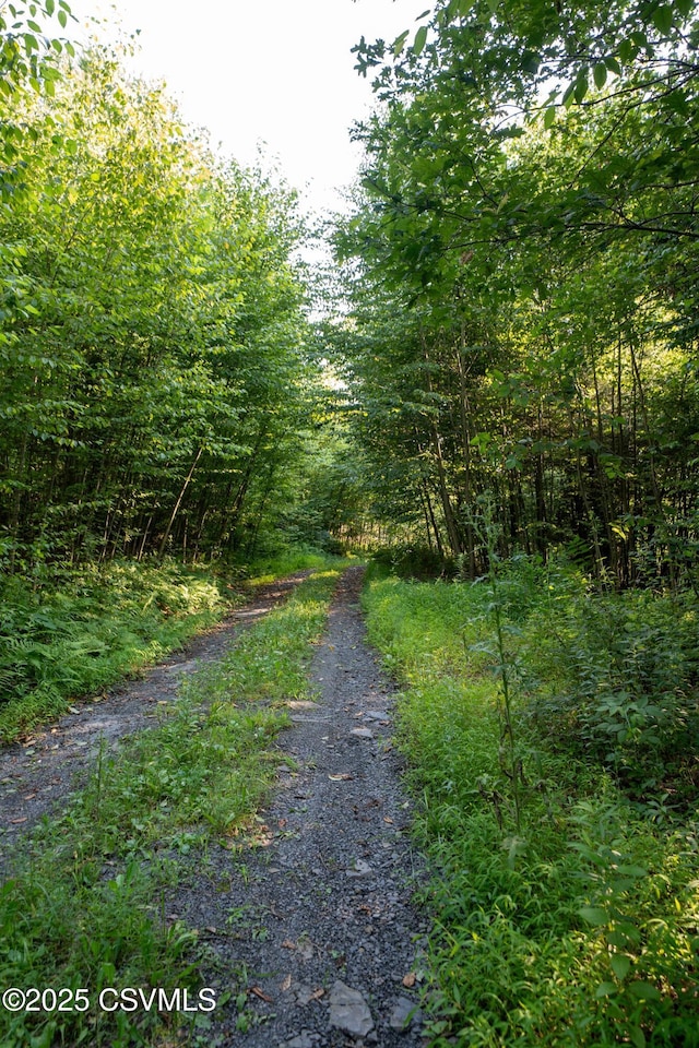 00 Barner Ln, Loganton, PA 17747 - photo 19