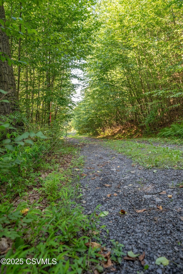 00 Barner Ln, Loganton, PA 17747 - photo 20