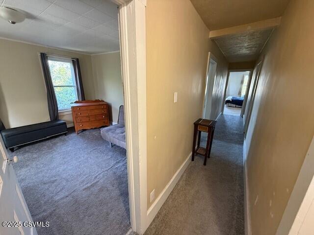110 Church St, Catawissa, PA 17820 - photo 15