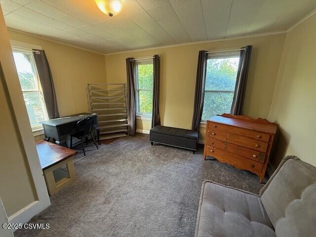 110 Church St, Catawissa, PA 17820 - photo 16