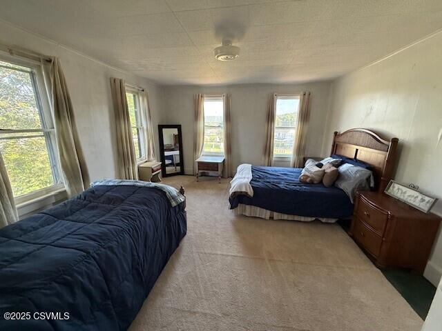 110 Church St, Catawissa, PA 17820 - photo 21