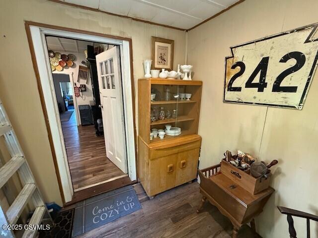 110 Church St, Catawissa, PA 17820 - photo 12