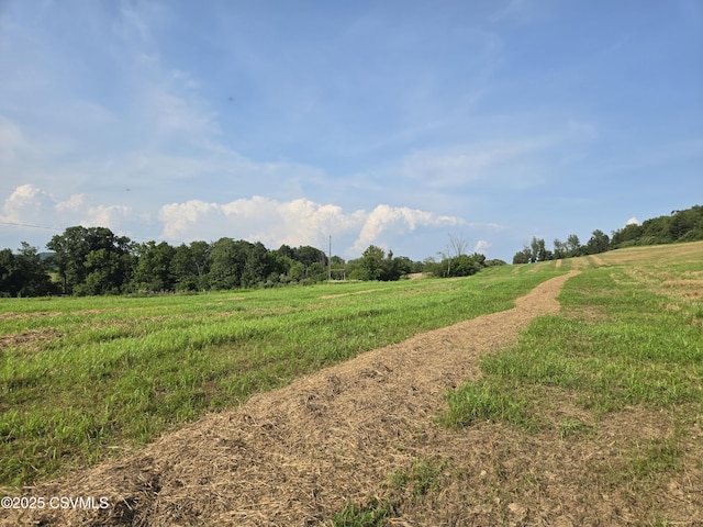 Mowery Rd, Danville, PA 17821 - photo 6