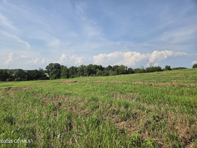 Mowery Rd, Danville, PA 17821 - photo 10