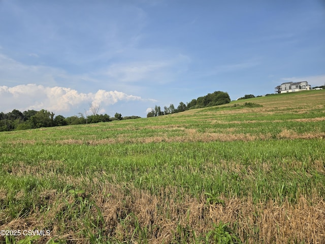 Mowery Rd, Danville, PA 17821 - photo 11